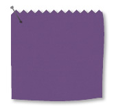Unicolour Purple
